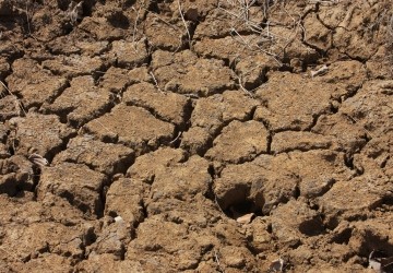Preocupa a la FAO la degradacin de los suelos